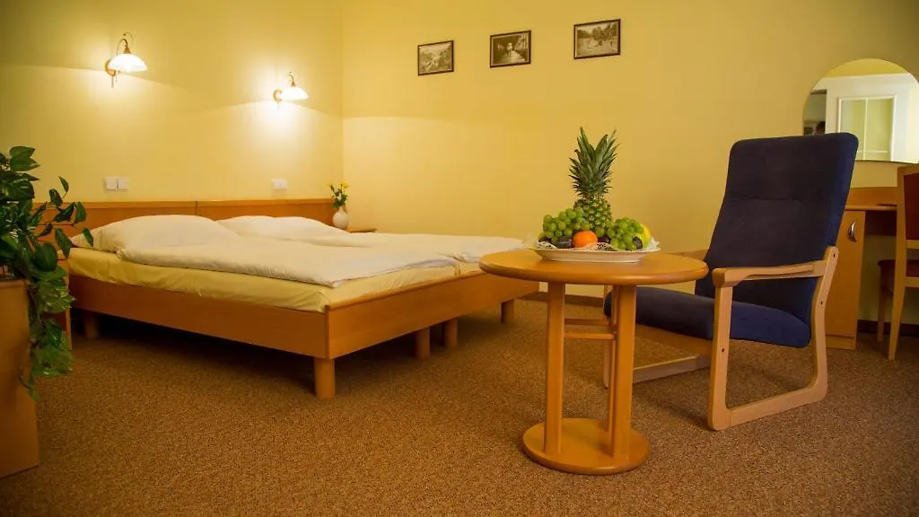 Lazenska Lecebna Manes Hotel Karlovy Vary 3*,  Czech Republic