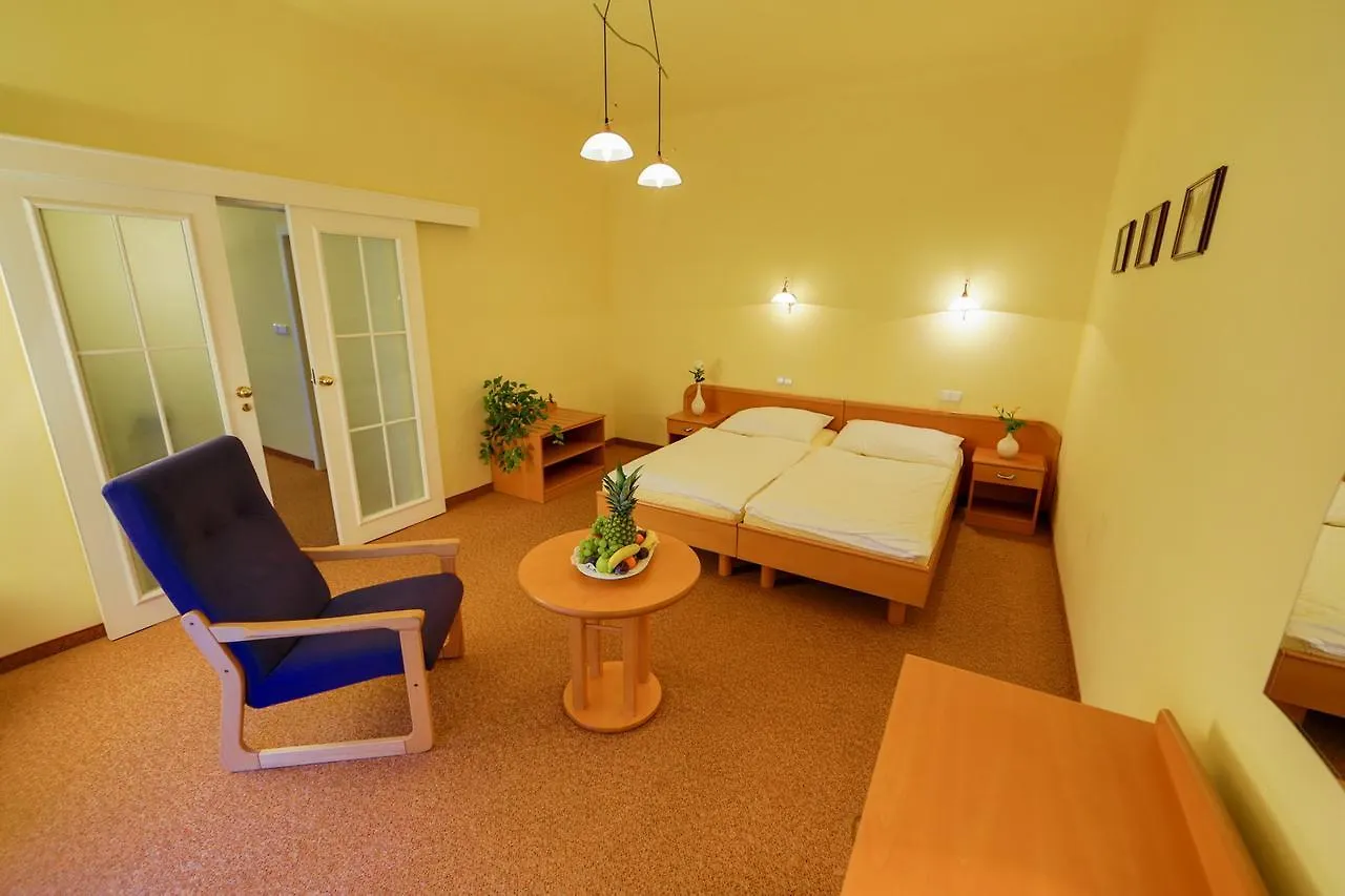 Lazenska Lecebna Manes Hotel Karlovy Vary