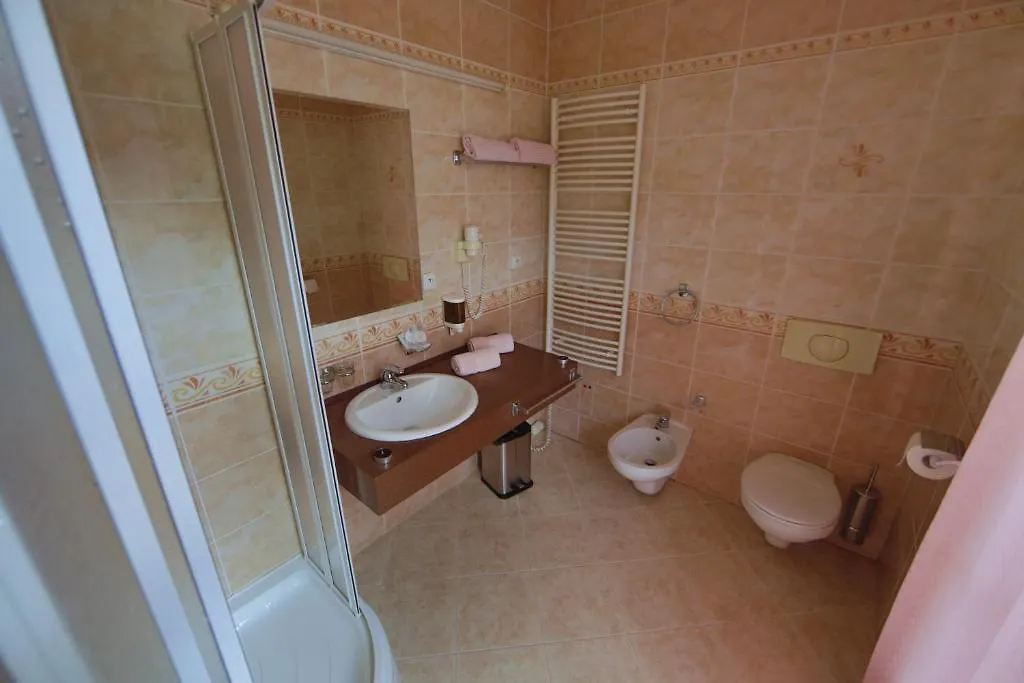 Lázeňská léčebna Mánes Hotel KLV 3*,
